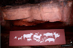 Pinturas Rupestres
