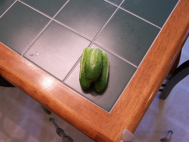 Cucumber