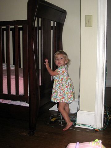 [finding pacis 081710 (3)[3].jpg]