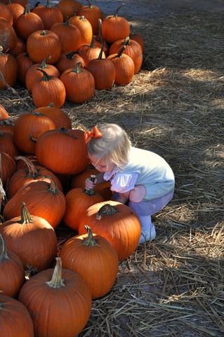 [marks melons 102210 (257)[4].jpg]