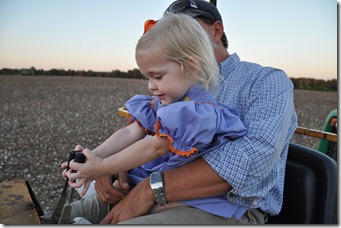 cotton harvest 2010 (29)