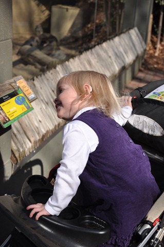 [first trip to zoo 111910 (1)[3].jpg]