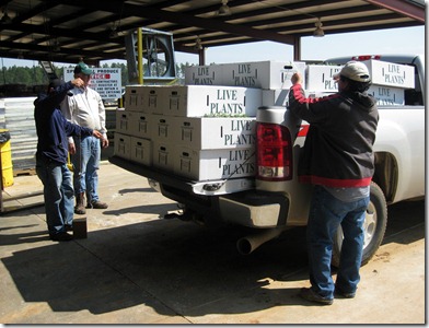 plant pickup 0311 (8)