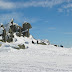 IMG_6600.JPG, Витоша / Vitosha mountain, Bulgaria