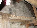 DSC00791.JPG