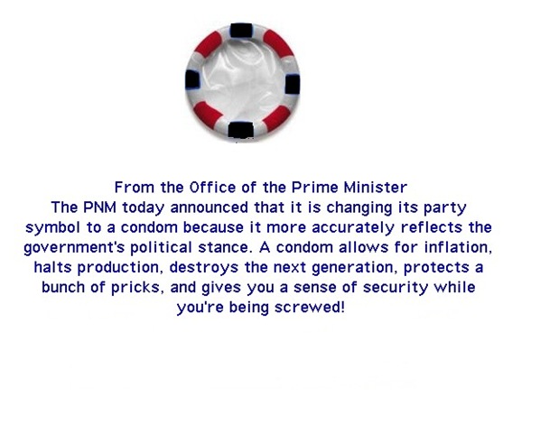 New PNM logo