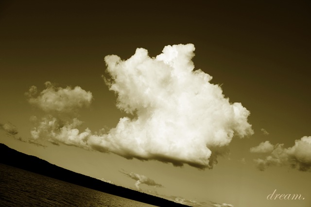 [1cloud (kopia)[4].jpg]