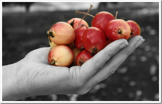 apple