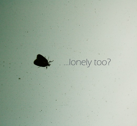 [alone[4].jpg]