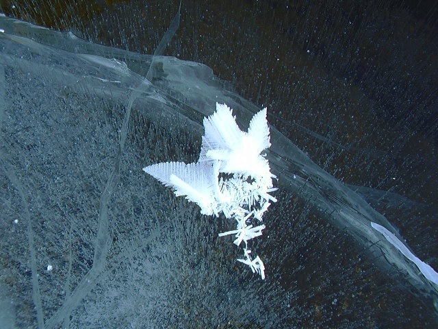 [ice[4].jpg]