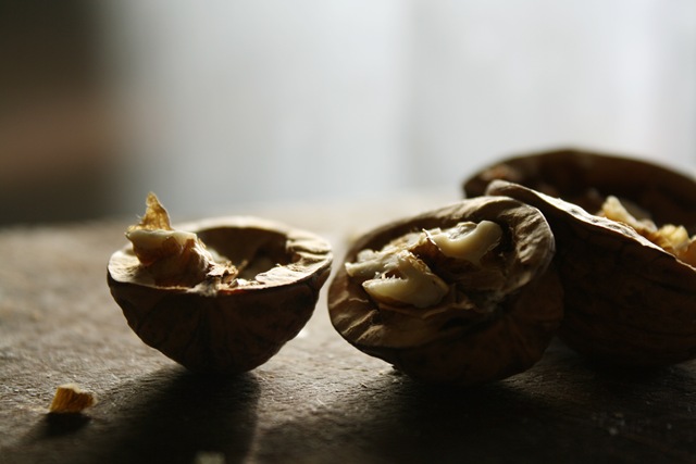 [nuts[1].jpg]