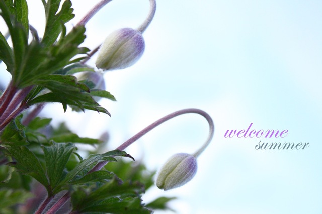 welcomesummer
