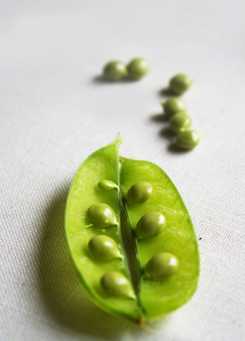 pea