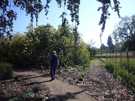 Rutherford Gardens