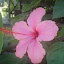  &ndash; Ocho Rios, Jamaica