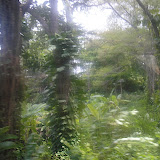  &ndash; Ocho Rios, Jamaica