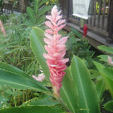  &ndash; Ocho Rios, Jamaica