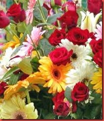 flores flores