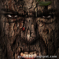 Amazing photo Manipulation Photoshop tutorials till December 2009 Amazing photo Manipulation Photoshop tutorials till December 2009