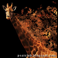 Amazing photo Manipulation Photoshop tutorials till December 2009 Amazing photo Manipulation Photoshop tutorials till December 2009