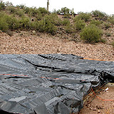 Who says it doesn't rain in the desert?