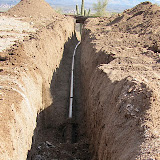 Saguaro at the end of the trench