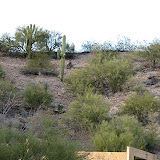 Sook on the hill 2/24
