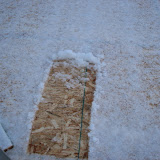 First shovel 2/10