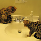 Playing in the sink on 4 mo. b-day