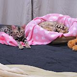 Trying out our bed 3/1