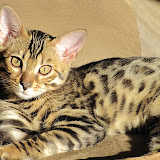 Niña - I know I'm cute ... 3/4