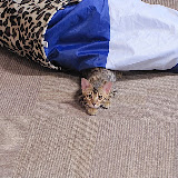 Niña: I'll get you! 3/5