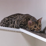 Niña ready to run down the wall 5/12