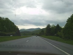 Photo0299
