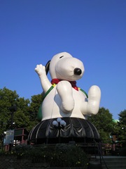 Photo0612