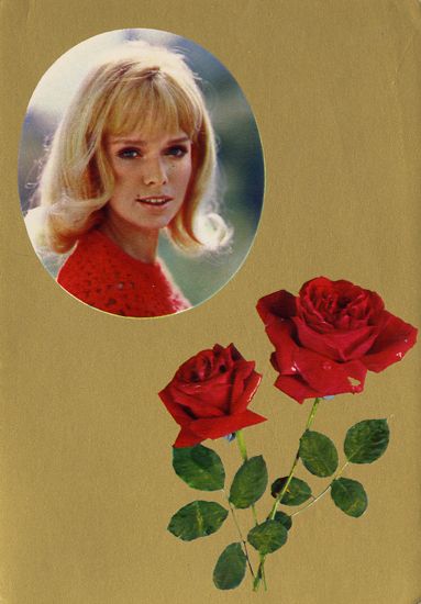 Cartes Postales Pop et  Kitsch des années 50, 70 et 70 - Pop and kitsch vintage postcards from the fifties, the sixties and the seventies : Amours en fleurs