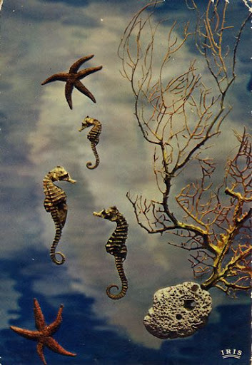 Cartes postales pop et kitsch des annéees 50, 70 et 70