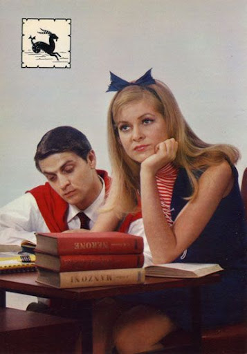 Cartes Postales Pop et Kitsch des années 50, 70 et 70 Zodiac Lovers / Amoureux du Zodiaque