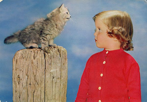 Cartes Postales Pop et  Kitsch des années 50, 70 et 70 Childrens and animals / Enfants et animaux