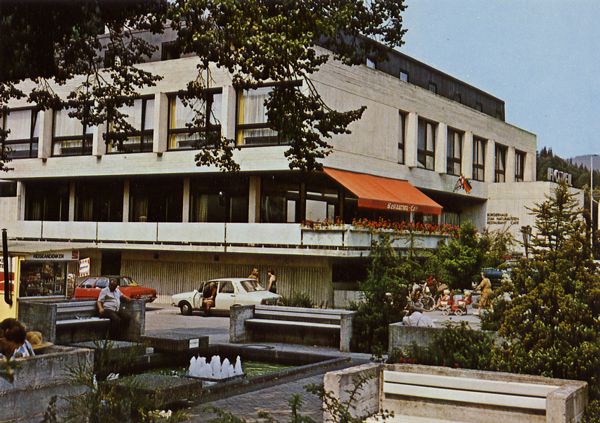 Cartes Postales Pop et Kitsch des années 50, 70 et 70 - Pop and kitsch vintage postcards from the fifties, the sixties and the seventies : Quelques étapes chaleureuses - HOTEL - RESTAURANT - CAFE Zum Naturalisten<br />Restaurant - Café - Terrasse 6932 HIRSCHHORN / NECKAR Telefon (0 62 72) 25 50 / 20 52