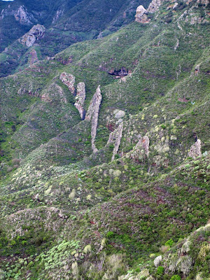 Foto de  Tenerife.Igueste de San Andrés - Las Casillas - Ensillada - Bco.Huertas - San Andrés