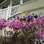 DSCN3392.JPG