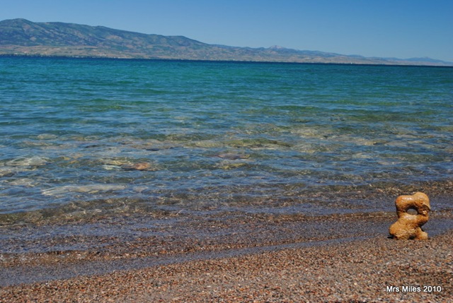 [DSC_0142[5].jpg]