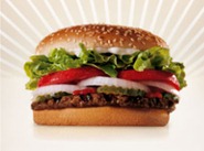 whooper