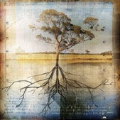 graph-of-tree-and-roots-2010-05-17-09-03.jpg