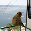 IMG_2145.JPG