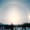 alaska_00_husky_15.jpg
