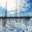 alaska_00_husky_28.jpg