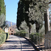 IMG_4479.JPG