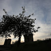 IMG_4819.JPG